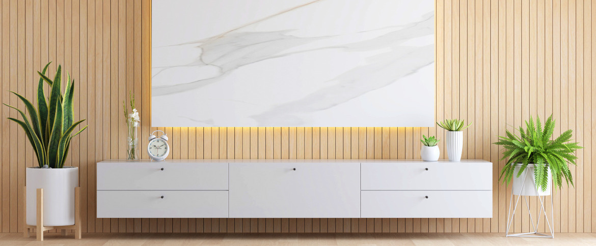 TV Unit Specialists
