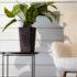 Choose the Perfect Armchair for Every Australian Home